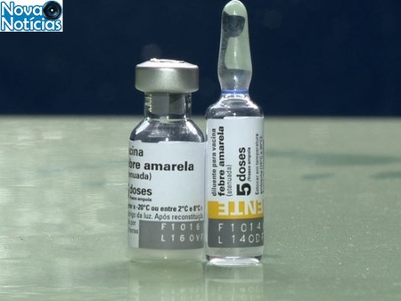 Left or right vacina amarela