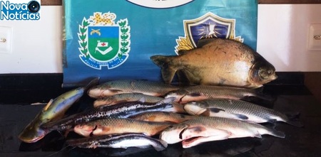 Left or right peixes