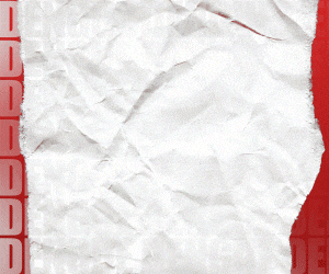 Dengue pmb 300x250 1 