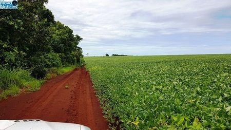 Left or right desmatamento cg 26 de janeiro de 2018