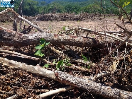 Left or right desmatamento aroreira aquidauana 5 de fevereiro de 2018