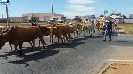Left or right go romeiros trindade 2018