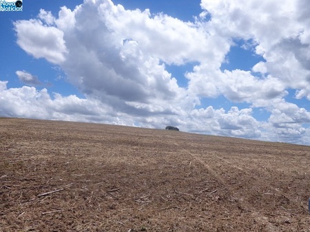 Left or right lavoura