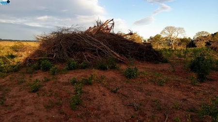 Left or right desmatamento mata atl ntica bataypor 10 de agosto de 2019