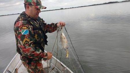 Left or right foto 9 combate a pesca predat ria