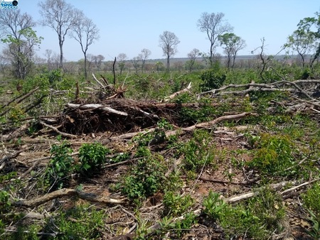Left or right desmatamento ribas cg 4 de outubro de 2020