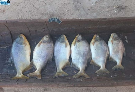 Left or right pescado apreendido piquiri 2 de abril de 2021