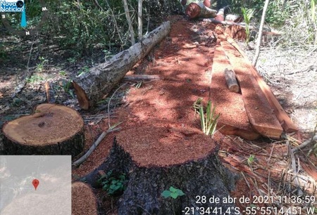 Left or right madeira exploracao nioaque jardim rl 29 de abril de 2021