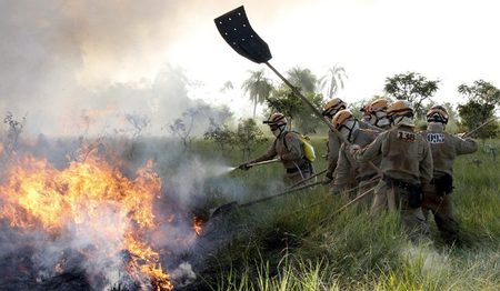 Left or right treinamento dos bombeiros no combate a inc ndio florestal foto edemir rodrigues 1 730x425