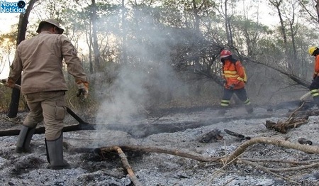 Left or right combate a queimadas no pantanal foto chico ribeiro 768x425 730x425 730x425