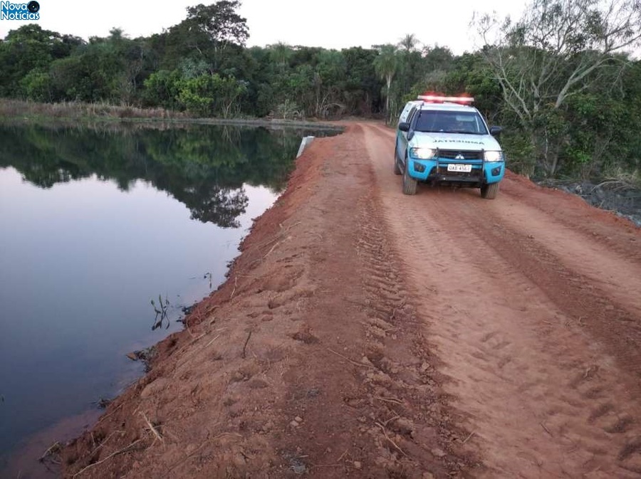 Center acude estrada e madeira mata atlantica anaurilandia 10 de julho de 2021 3