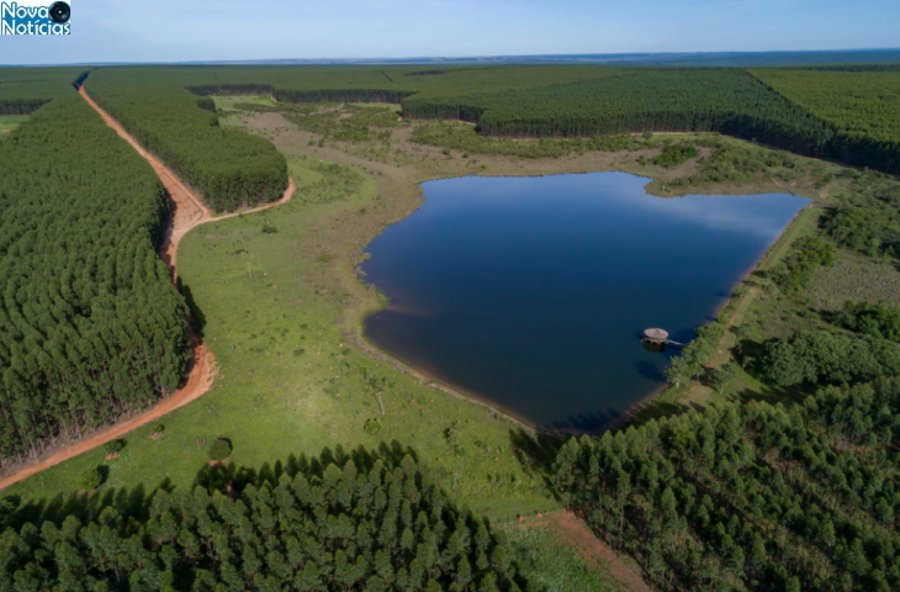 Left or right arauco brasil lagos fazenda lobo foto de zig koch 1 730x480