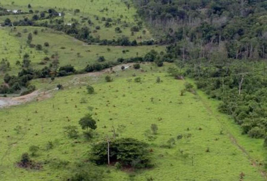 Left or right projeto rural na amazonia pnud