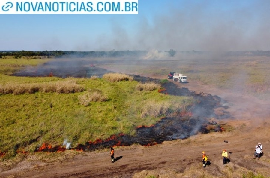 Left or right parque estadual das varzeas do rio ivinhema foto bruno rezende 42 730x480