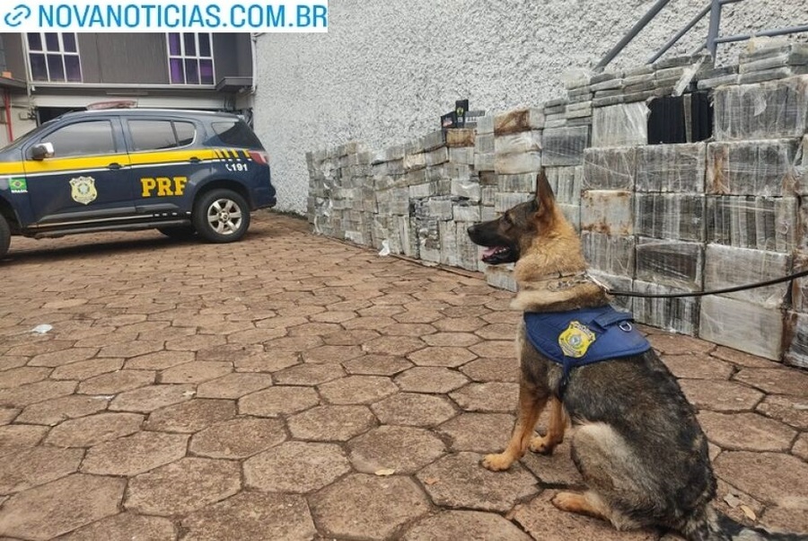 Left or right prf cocaina