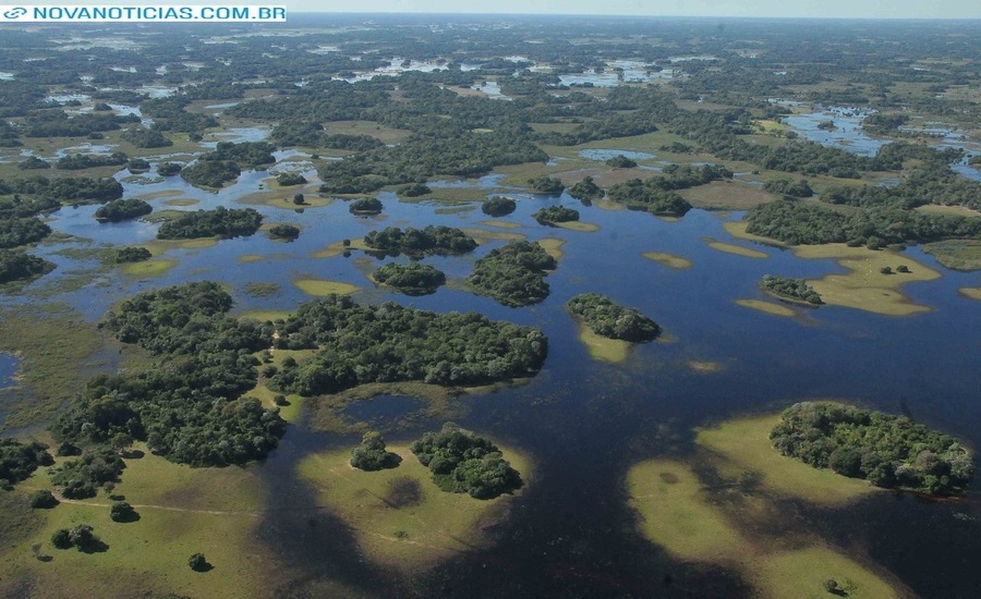 Left or right pantanal alvaro rezende esta