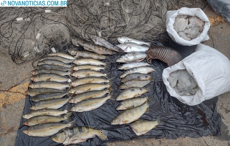 Left or right pesca predatt ria dia 18 01 em nova