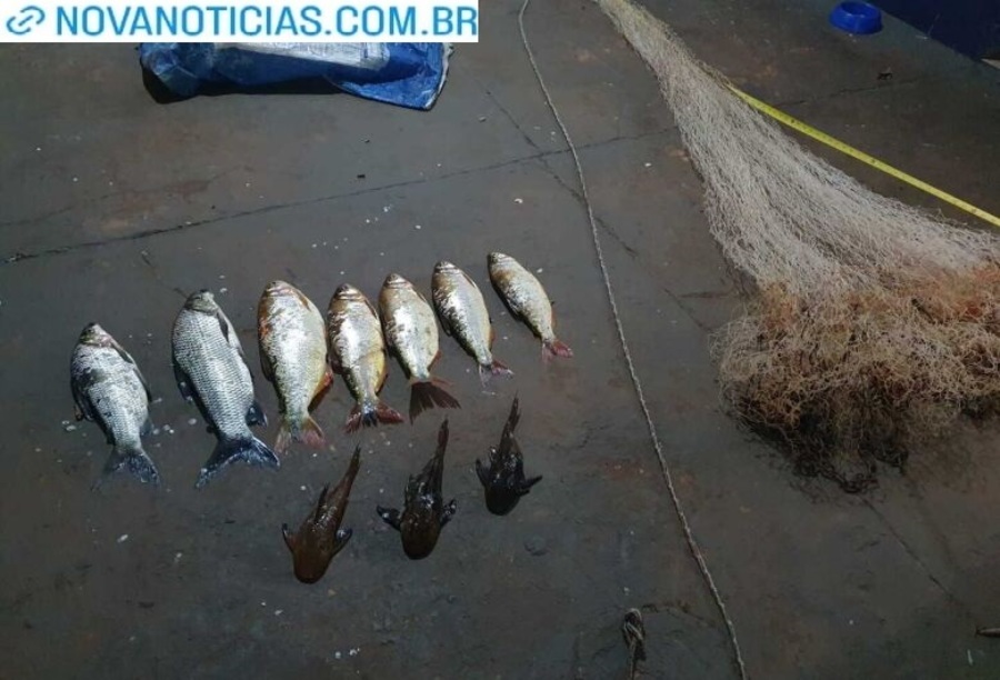 Left or right peixes