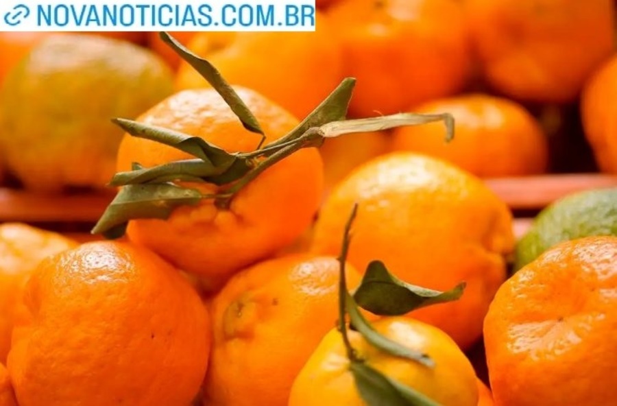 Left or right tangerinas foto agencia brasil 730x480