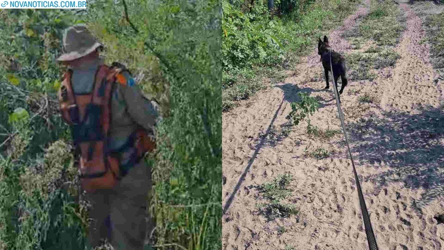 Left or right buscas indigenas foto divulgacao corpo de bombeiros