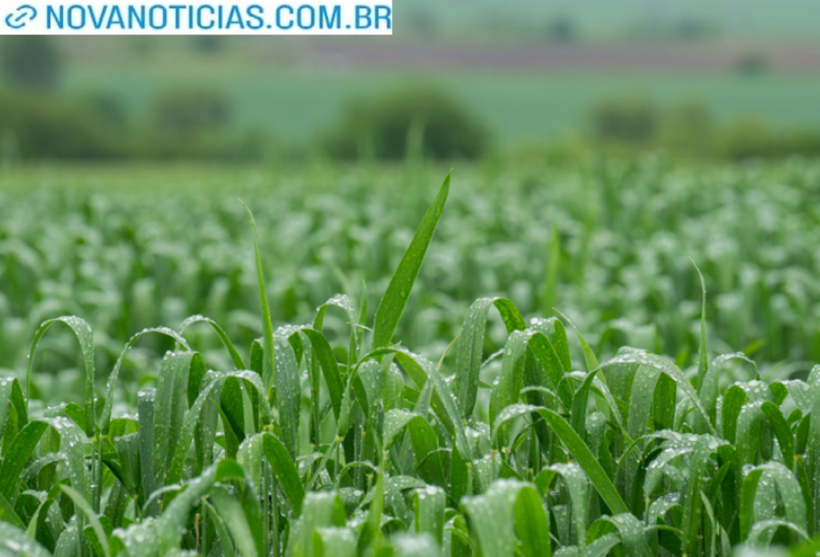 Left or right 90a78a0d bbd1 45de a43d 2797a2154ffc