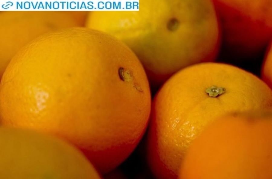 Left or right laranja agencia brasil 730x480
