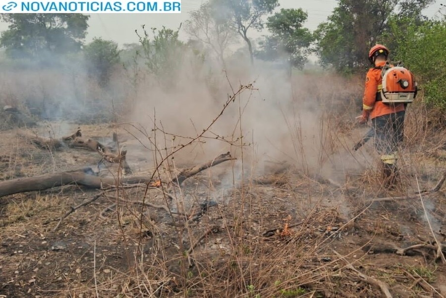 Left or right cidades queimadas desmatamento