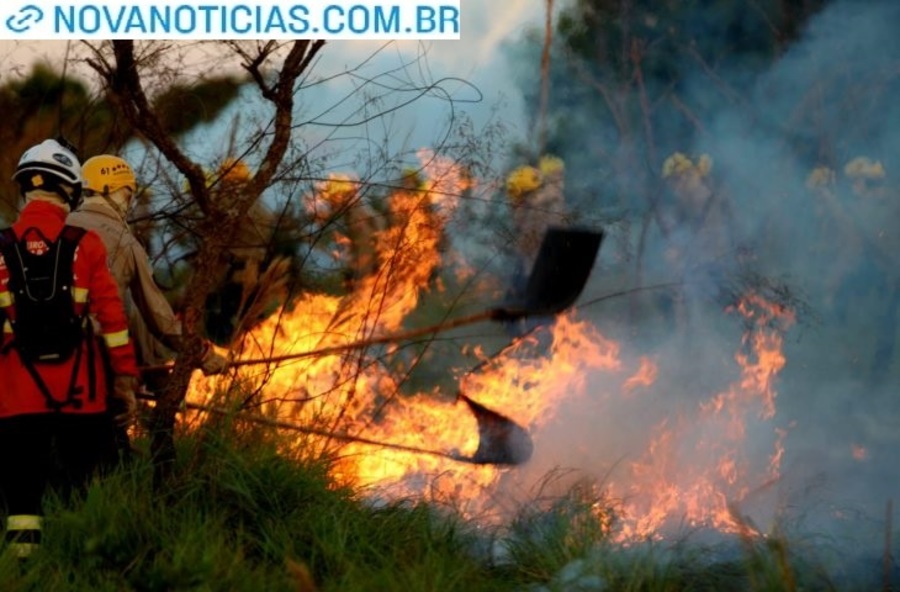 Left or right alunos do corpo de bombeiros passam por treinamento de combate foto saul schramm17 730x480