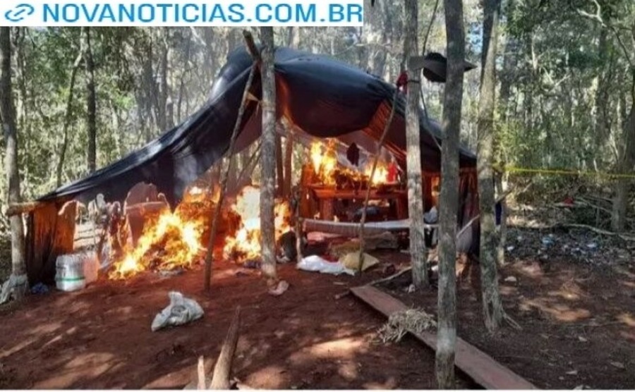 Left or right maconha 4