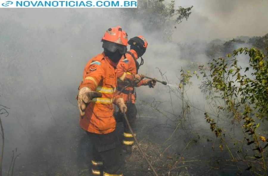 Left or right incendio pantanal foto bruno rezende 5 730x480