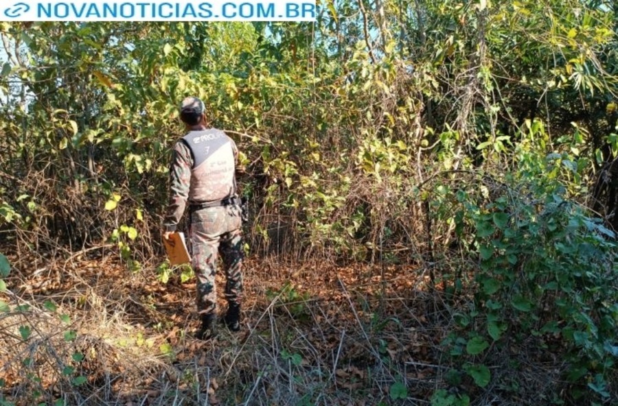Left or right pma pantanal 3 730x480