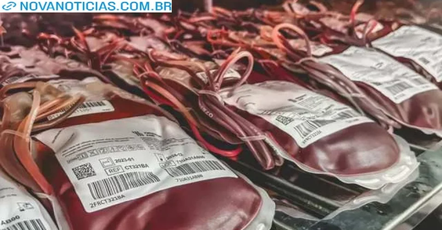 Left or right bolsas de sangue qsf5xahq6x7juoefdvaksslku2u59g5662l789jq14
