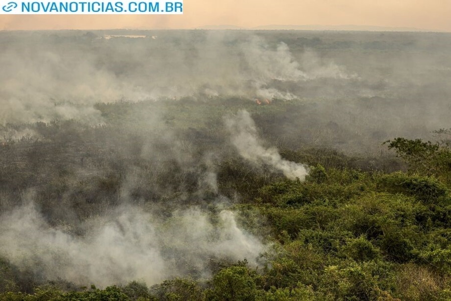 Left or right cidades incendios pantanal ibama marcelo camargo agencia brasil4