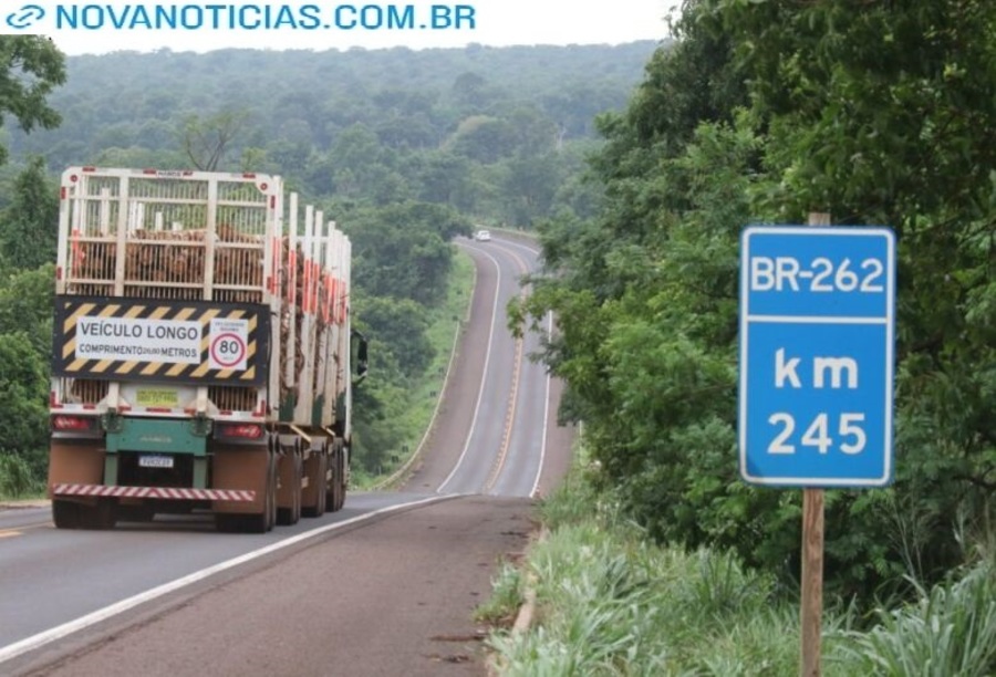 Left or right br 262 1024x683