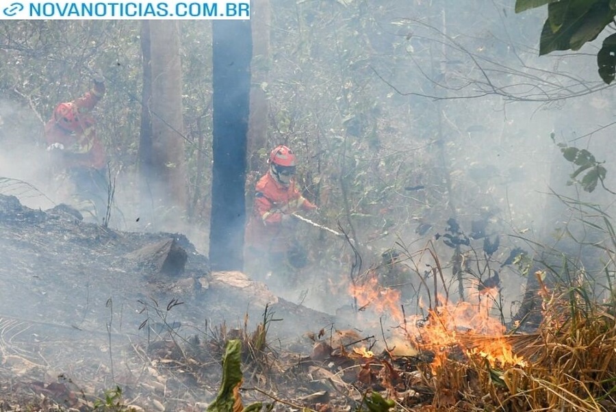 Left or right fogo no pantanal 1