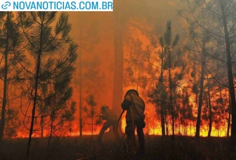 Left or right incendios florestais2 730x480