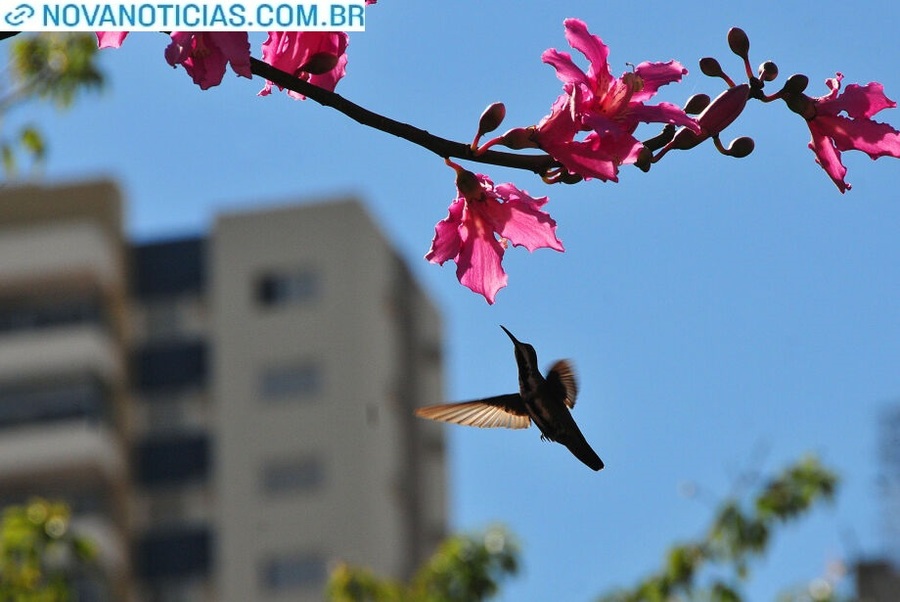 Left or right 02 0924 0356 primavera ar