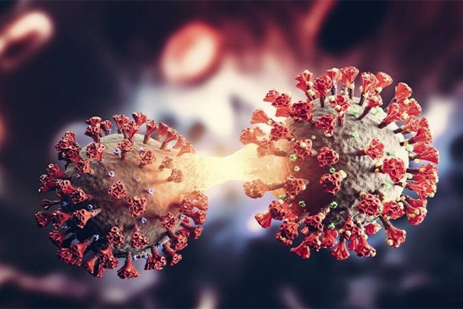 Left or right coronavirus