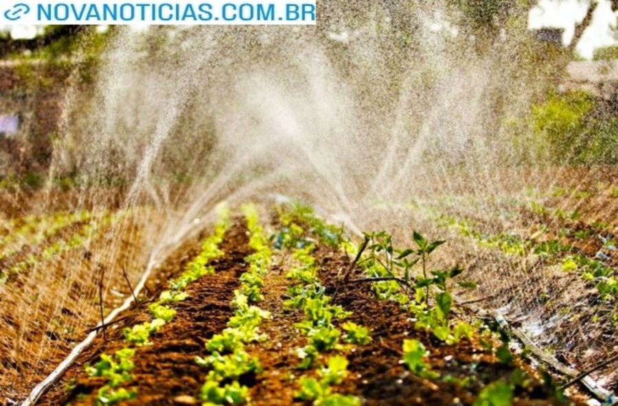 Left or right agricultura familiar semadesc 7 730x480