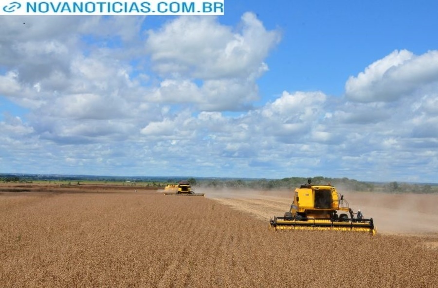 Left or right colheita de soja foto alvaro rezende 2 730x480