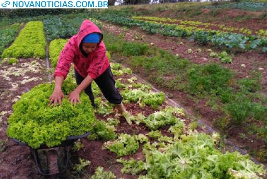 Left or right 15 0420 0002 agricultura familiar