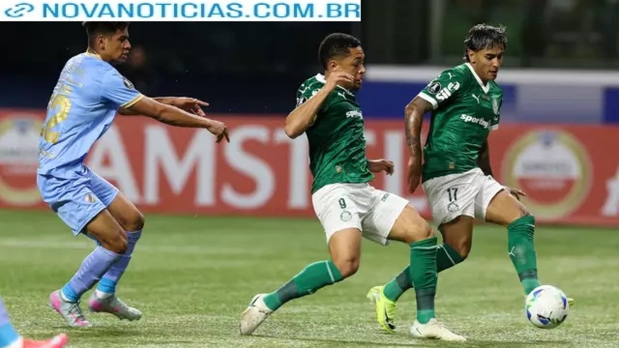 Left or right palmeiras 55