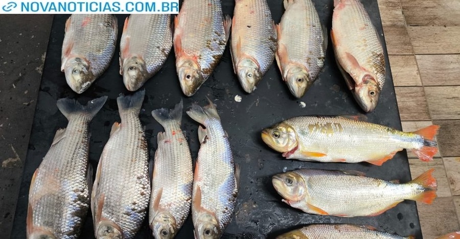 Left or right pescadoooo hhh