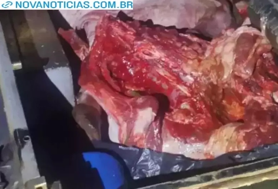 Left or right carne abatida dia 03 de junho hhh
