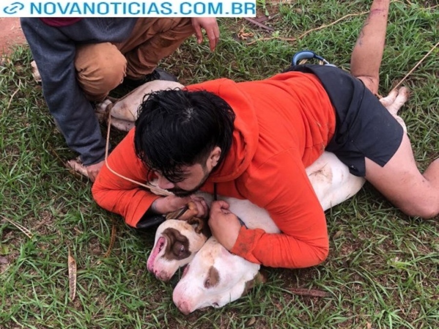 Left or right cachorro88888