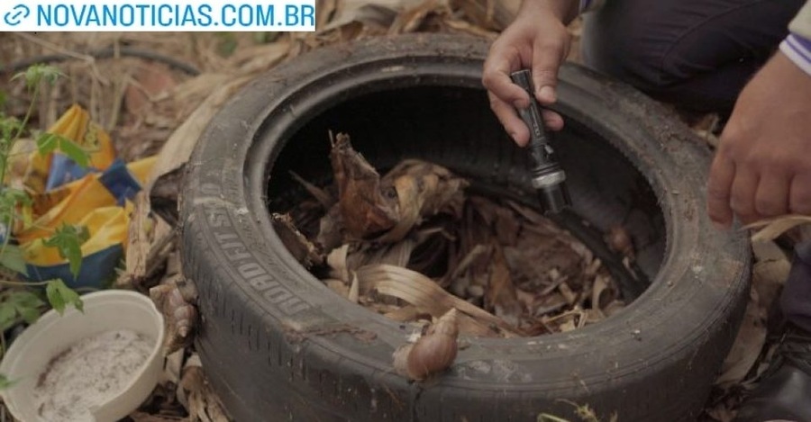 Left or right dengue saude dia 03 e3 julho 888