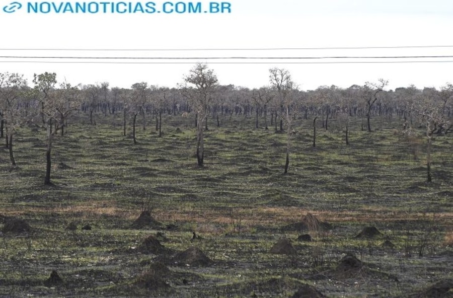 Left or right pantanal 88