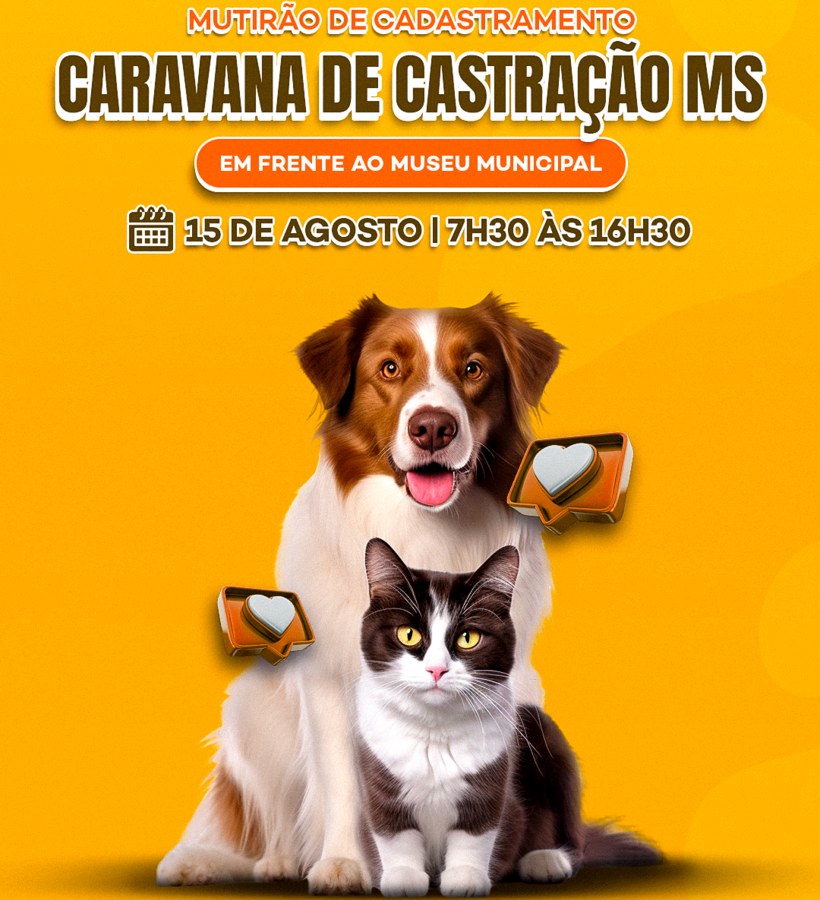 Left or right caravana de castrac a o ms 01
