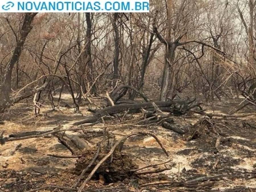 Left or right mpms firma tac apos incendios devastarem quase 2 mil hectares em fazendas de miranda 17592597507594 thumb