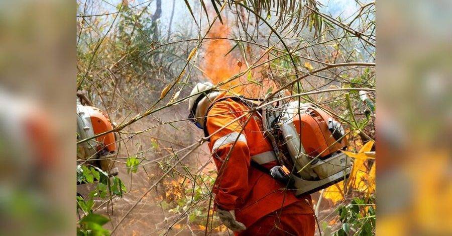 Left or right incendio serra do amolar ihp1 rcux8cnjgdruehwjn3pj0ivx9egrs5zti0vni1qx6w